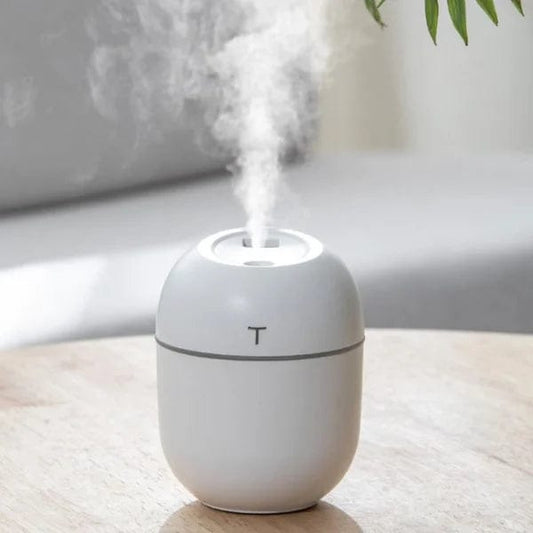 USB Mini Portable Cool Mist Humidifier & Diffuser - Silent Operation, LED Night Light for Home, Office & Car | Pakistan